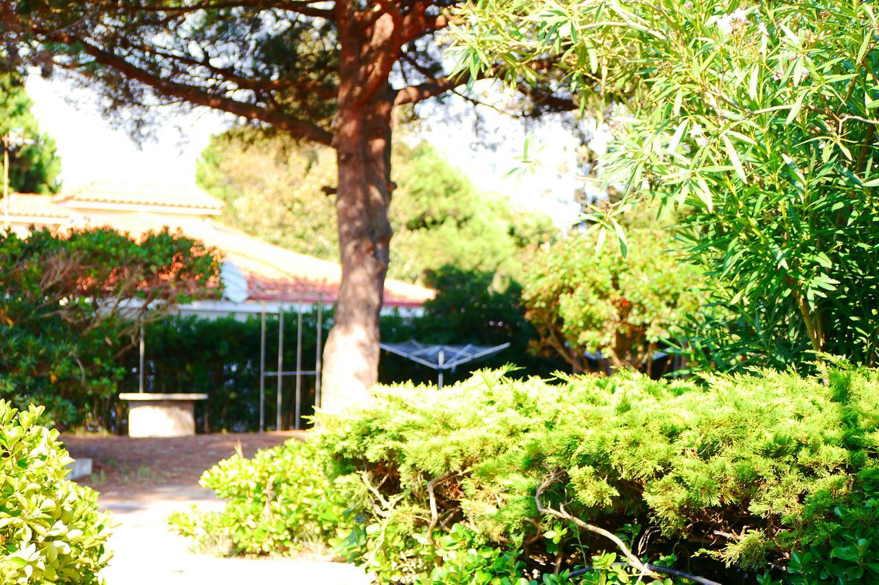 Appartamento In Villa Valentini, Fronte Mare, Giardino E Parcheggio Privato, Wifi, Dotato Di Tutti I Confort, Nel Golfo Di Gaeta Минтурно Екстериор снимка